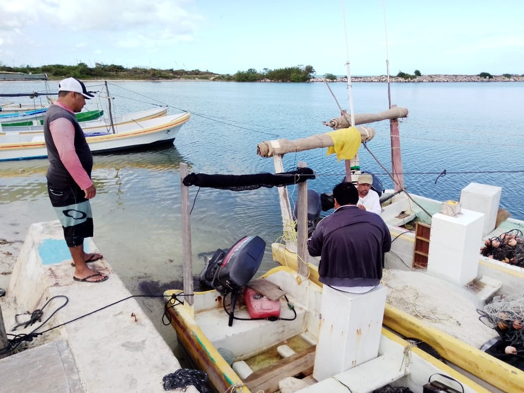 Pescadores de Yucatán se preparan para zarpar tras paso del Frente Frío