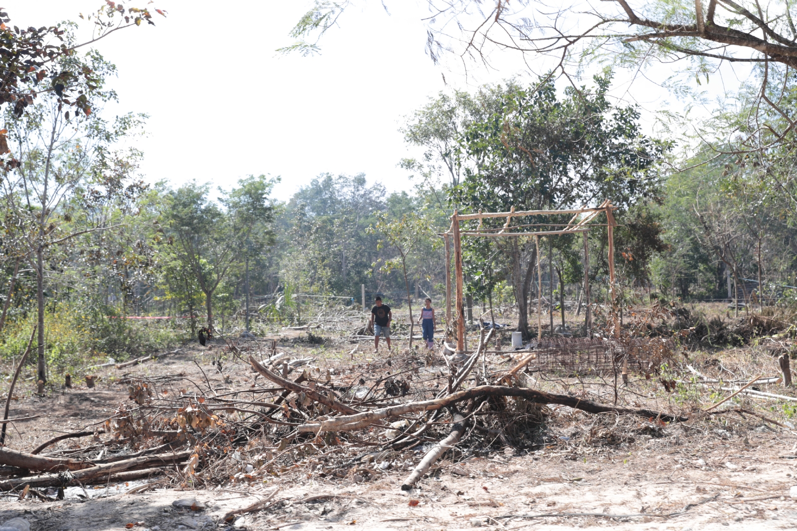 15 municipios de Yucatán continúan con sequía anormal en la Península; confirma Conagua