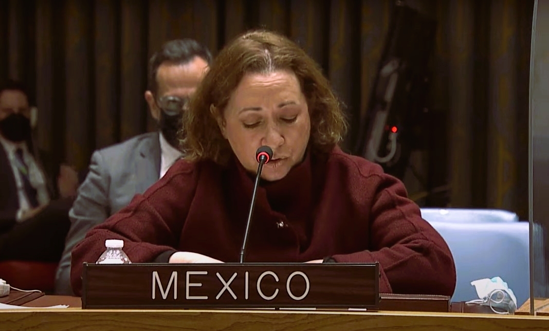 Alicia Buenrostro, embajadora permanente alterna de México ante la Organización de las Naciones Unidas. Foto: Captura de pantalla