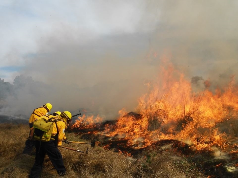 En el transcurso de dos años fueron registrados 27 incendios forestales