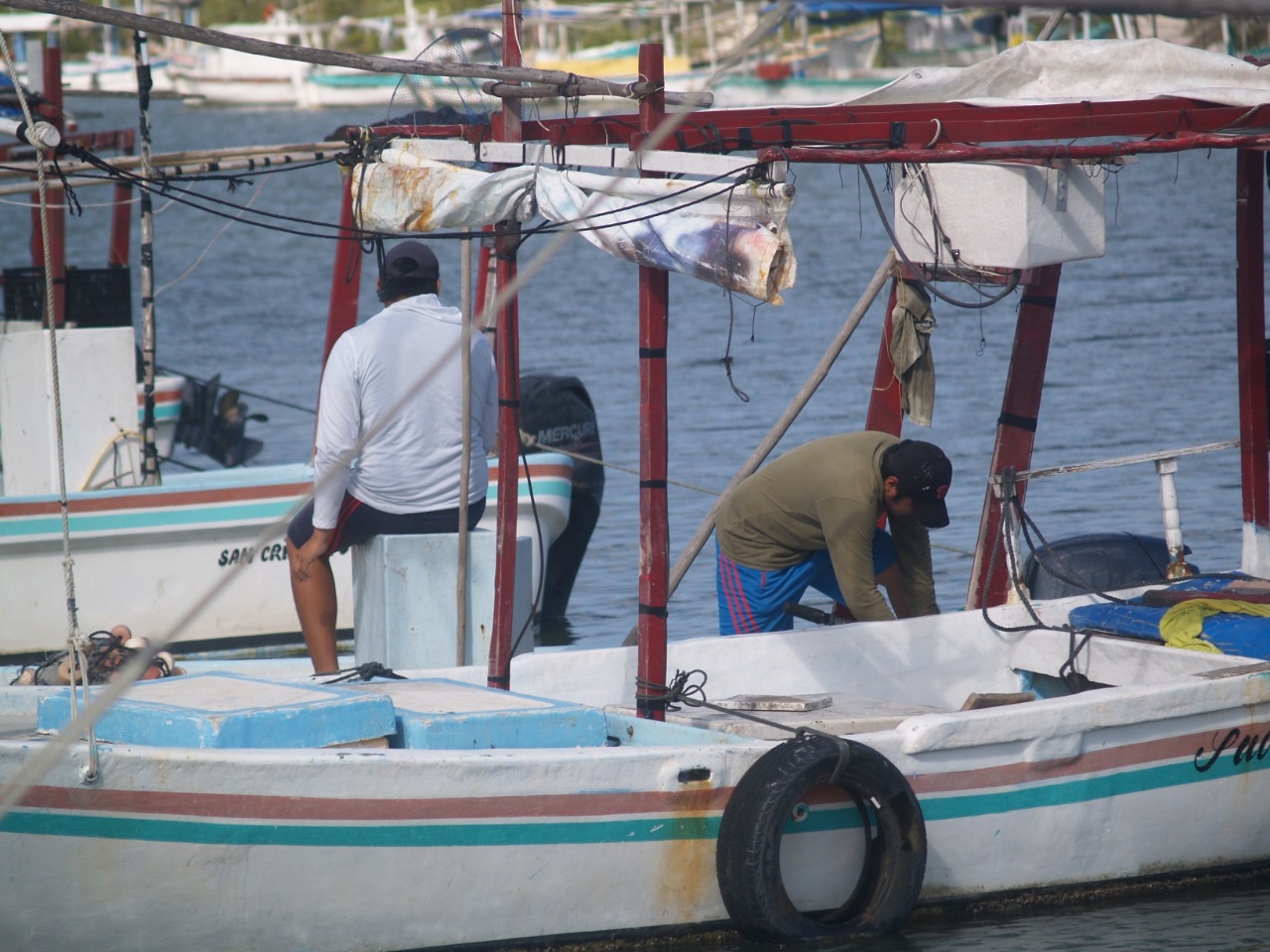 Pescadores de Chabihau ven redituable la captura de 'rubia'