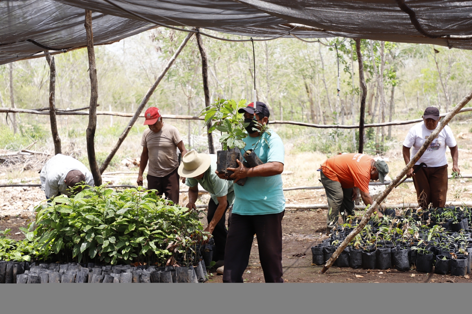Apoyos del FIRA en Yucatán: Beneficiarios logran apoyo por más de 4 mdp