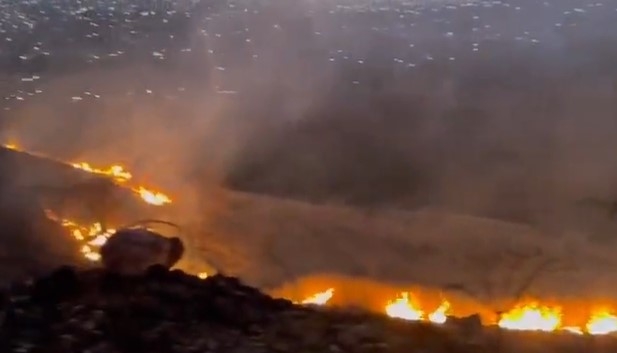 Autoridades de Oaxaca registraron un incendio en Monte Albán; aún trabajan para sofocar el fuego: VIDEO