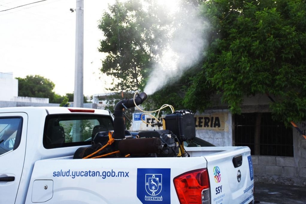 Suman 423 casos de dengue en Yucatán con 2 contagios cada 9 horas