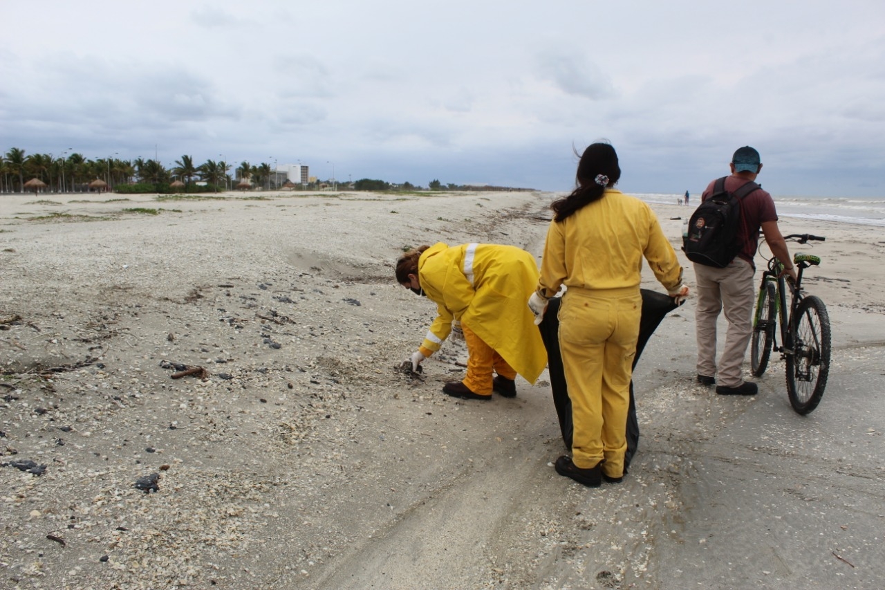 Ciudad del Carmen: Recala chapopote en la costa de Playa Norte