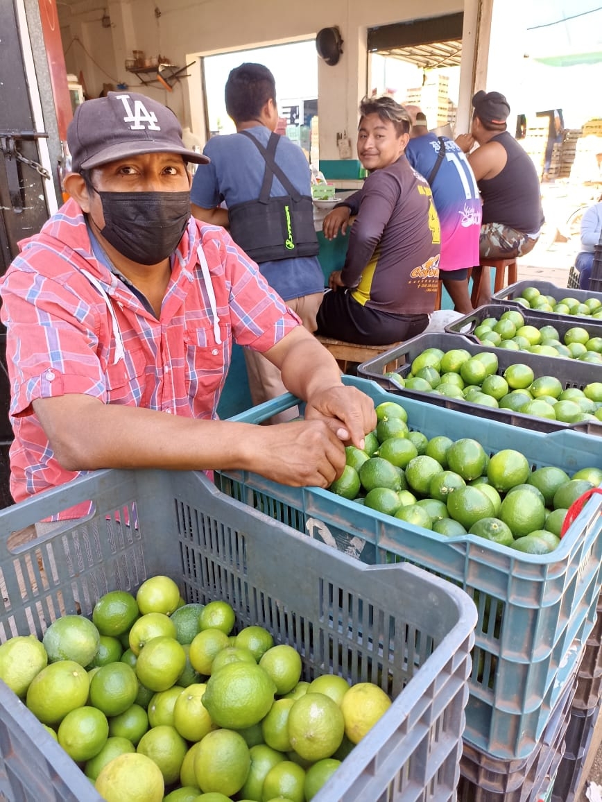 Tras alcanzar los mil pesos, baja el precio del limón en Oxkutzcab
