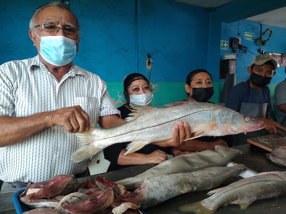 Aumenta al 100% el precio del pescado durante la Cuaresma en Tizimín