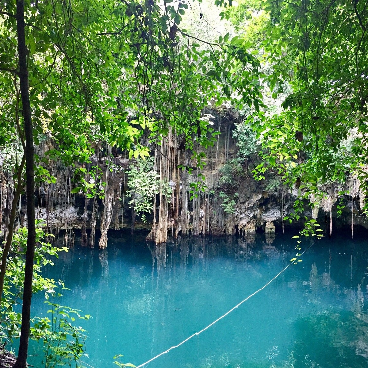 Conoce una de las maravillas naturales de Yucatán que puedes visitar este fin de semana