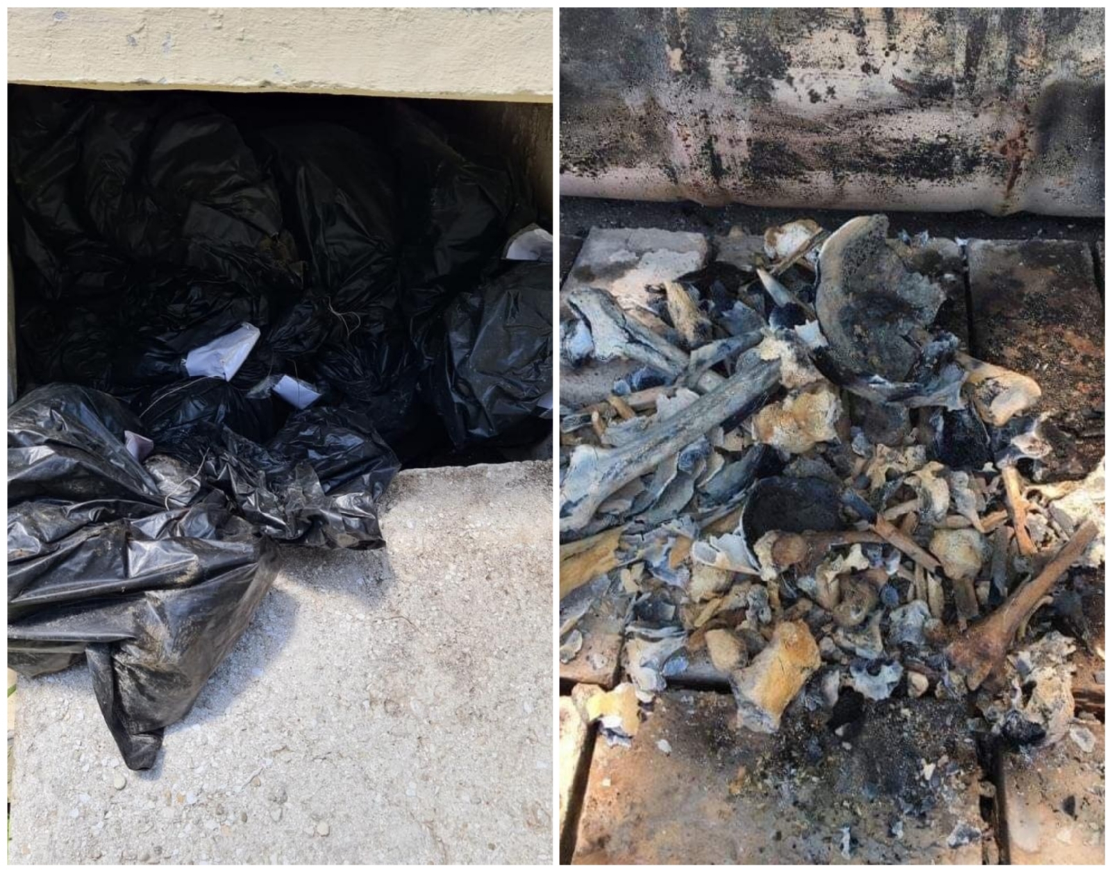 Encuentran 700 bolsas con restos humanos en el panteón de Ciudad del Carmen