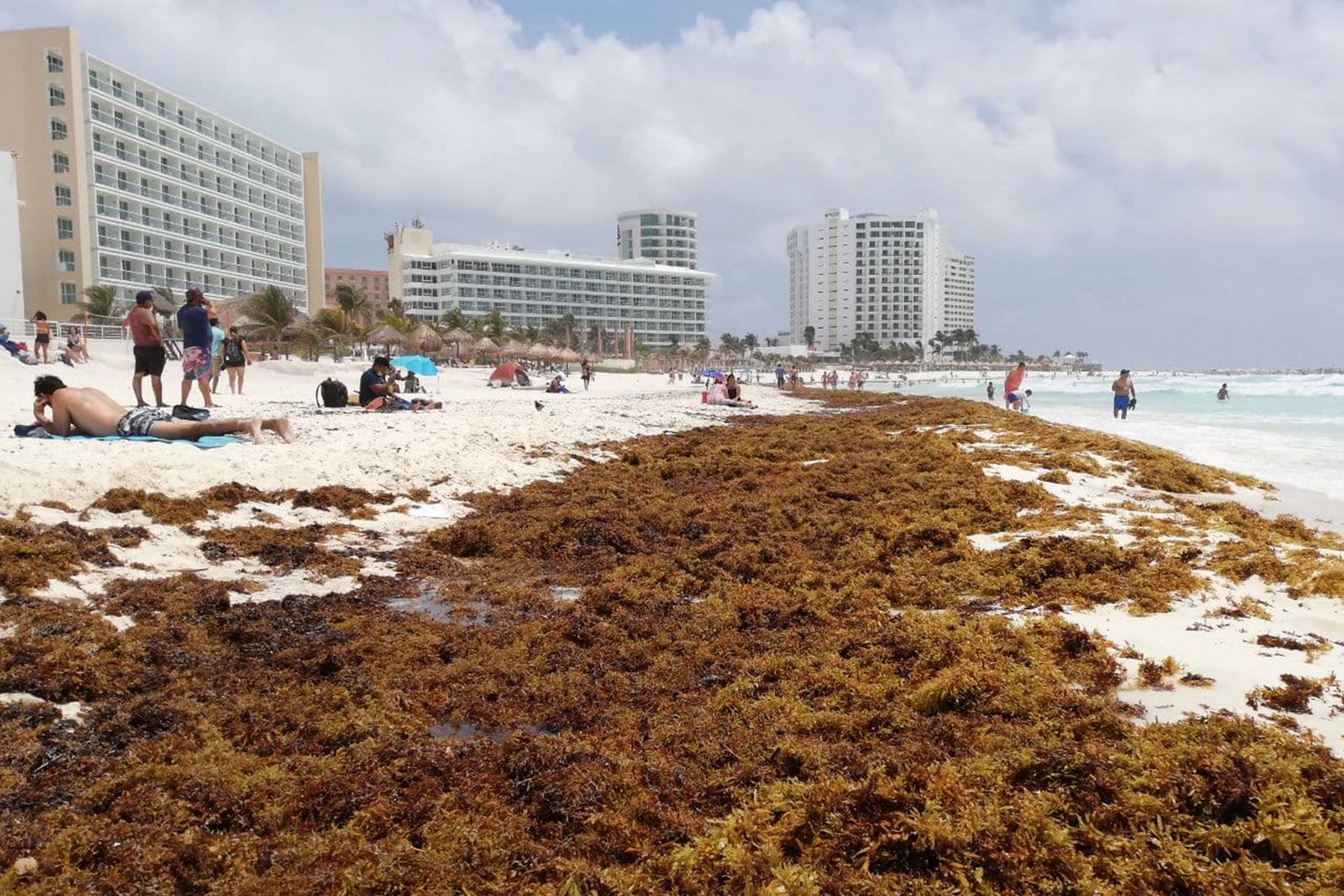 Sargazo en Quintana Roo: Hoteleros ponen barreras para evitar el recale del alga