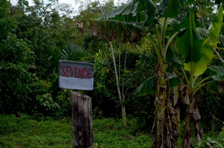 Terrenos fuera de zonas urbanas, de los más vendidos en Yucatán