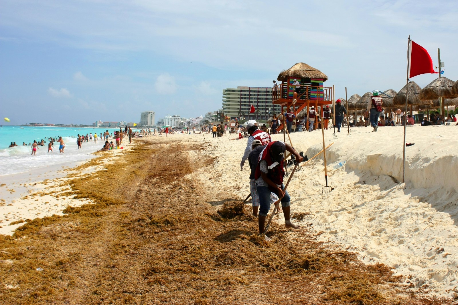 Estas son los destinos turísticos de Quintana Roo con menos sargazo este 18 de abril