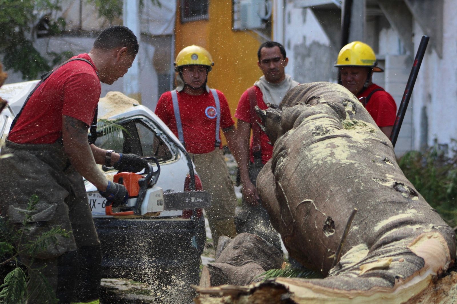 Automóvil queda destruido tras caerle un árbol en la Supermanzana 28 de Cancún