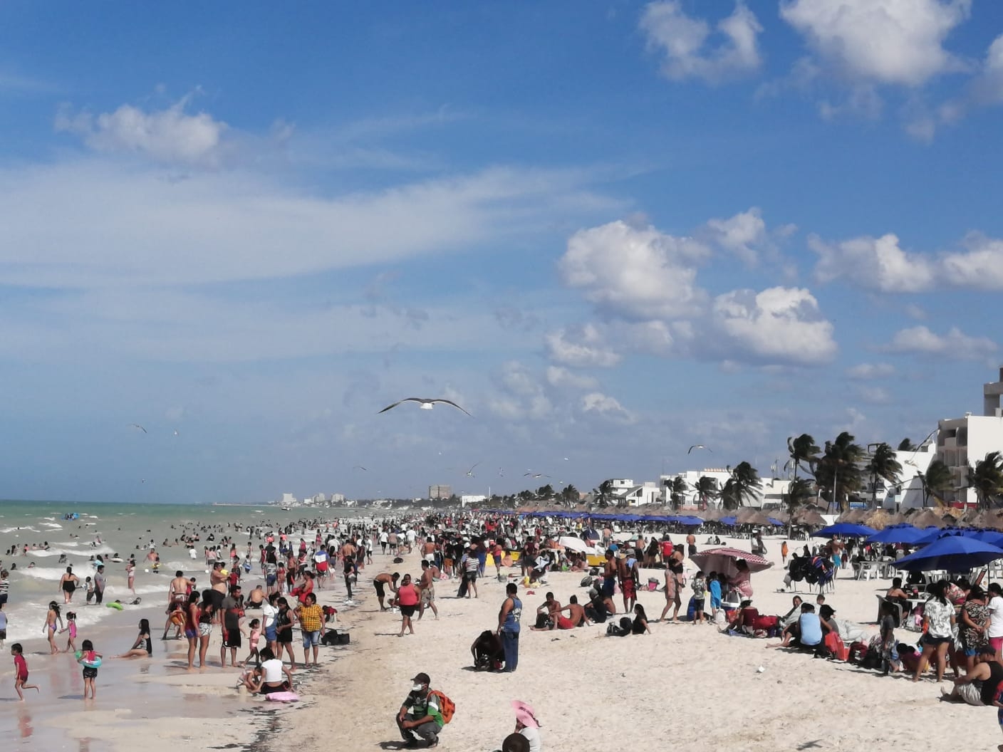 Más de 10 mil bañistas abarrotan la costa de Progreso: EN VIVO