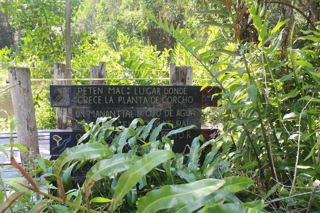 'Petec Mac', el sendero paradisíaco de Río Lagartos, Yucatán: FOTOS
