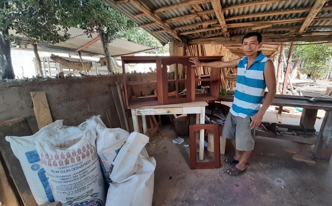 Hambre y pobreza, el origen de la mafia maderera en Campeche