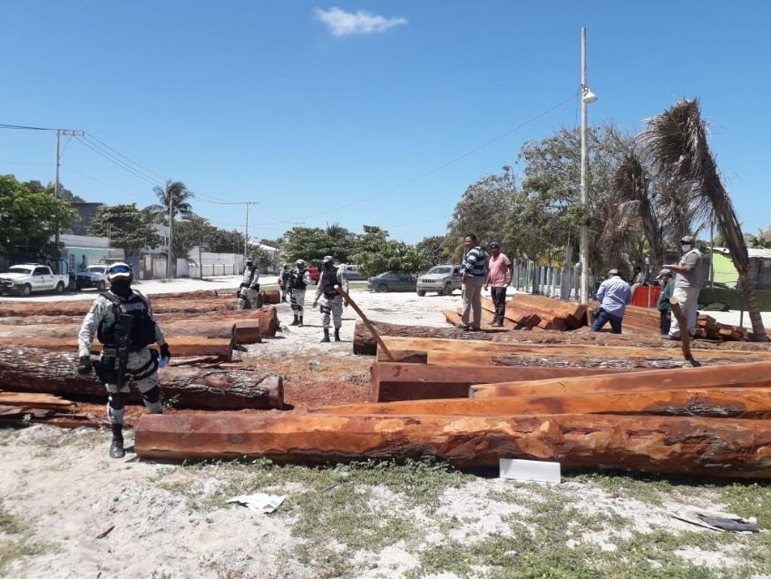 Mafia maderera paga hasta mil pesos, al día, a campesinos por tala ilegal en Campeche