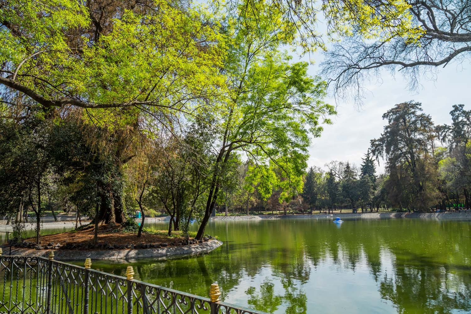 Al igual que Chapultepec, el Central Park contará con un lago artificial con barquitos
