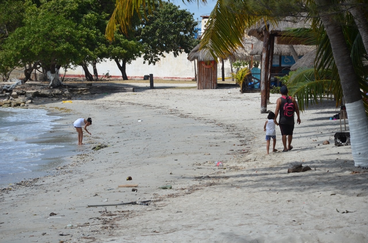 Las playas Manigua, Norte I, Norte II, Bahamita, Puerto Real, Isla Aguada, Viaducto y Zacatal (Playita del Guanal) son aptas para los bañistas