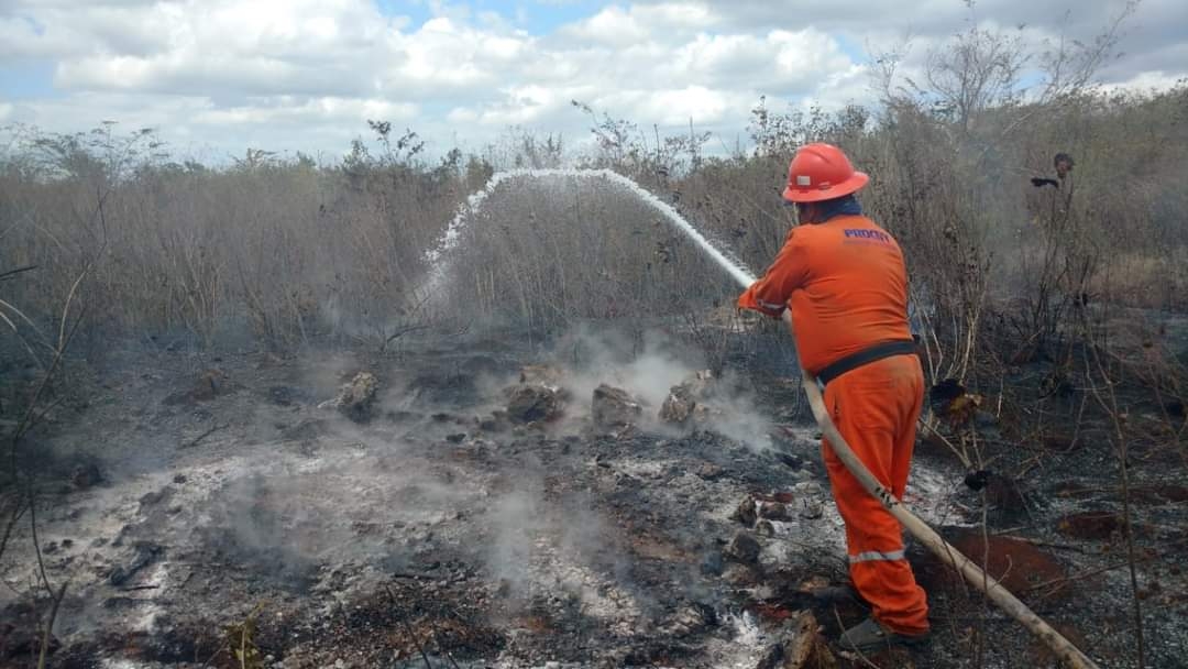 Registran cuatro incendios en un sólo día al Oriente de Yucatán