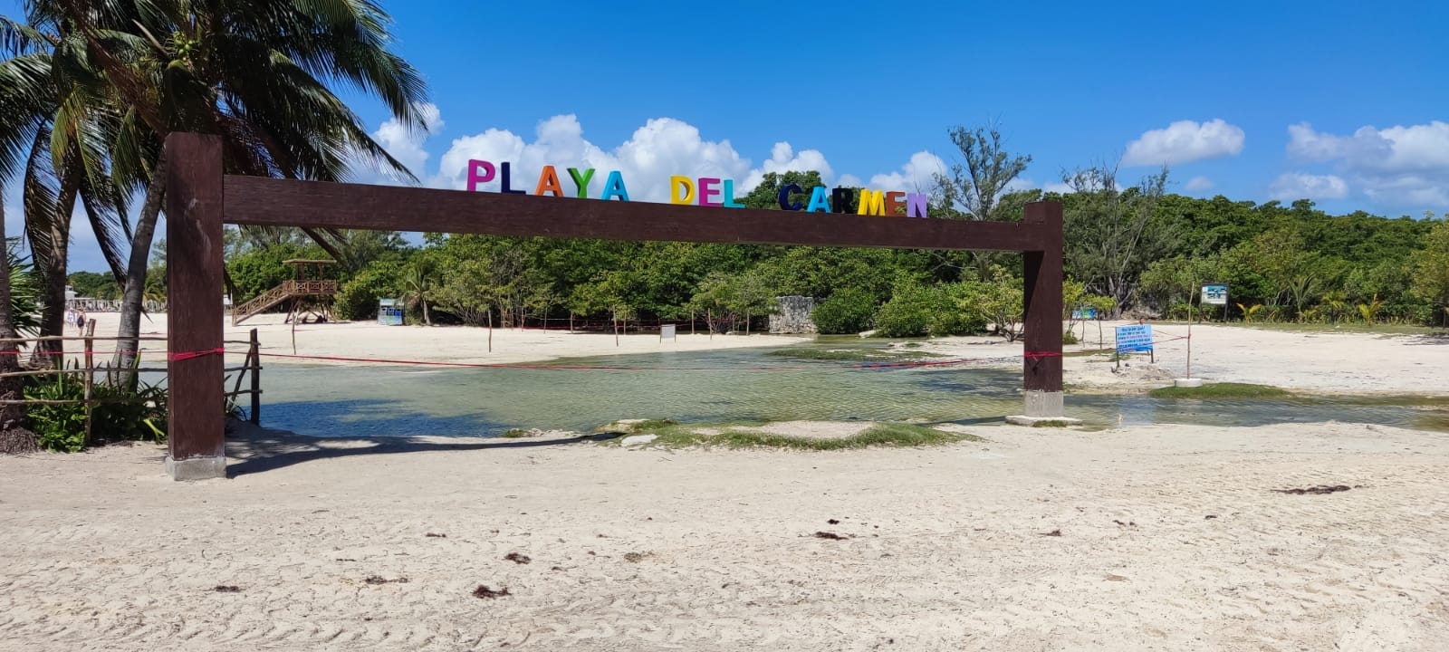 Ambientalista recrimina a turistas el dejar basura en cenotes de Playa del Carmen