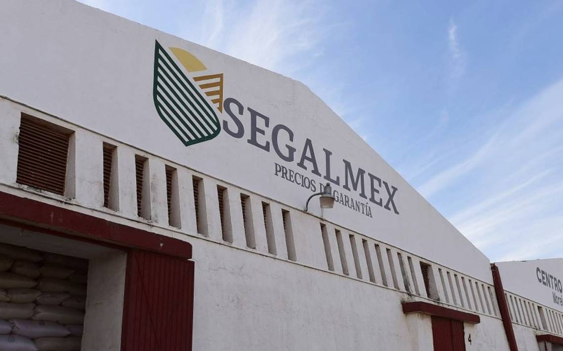 Vinculan a proceso a exdirector de Finanzas de Segalmex en CDMX