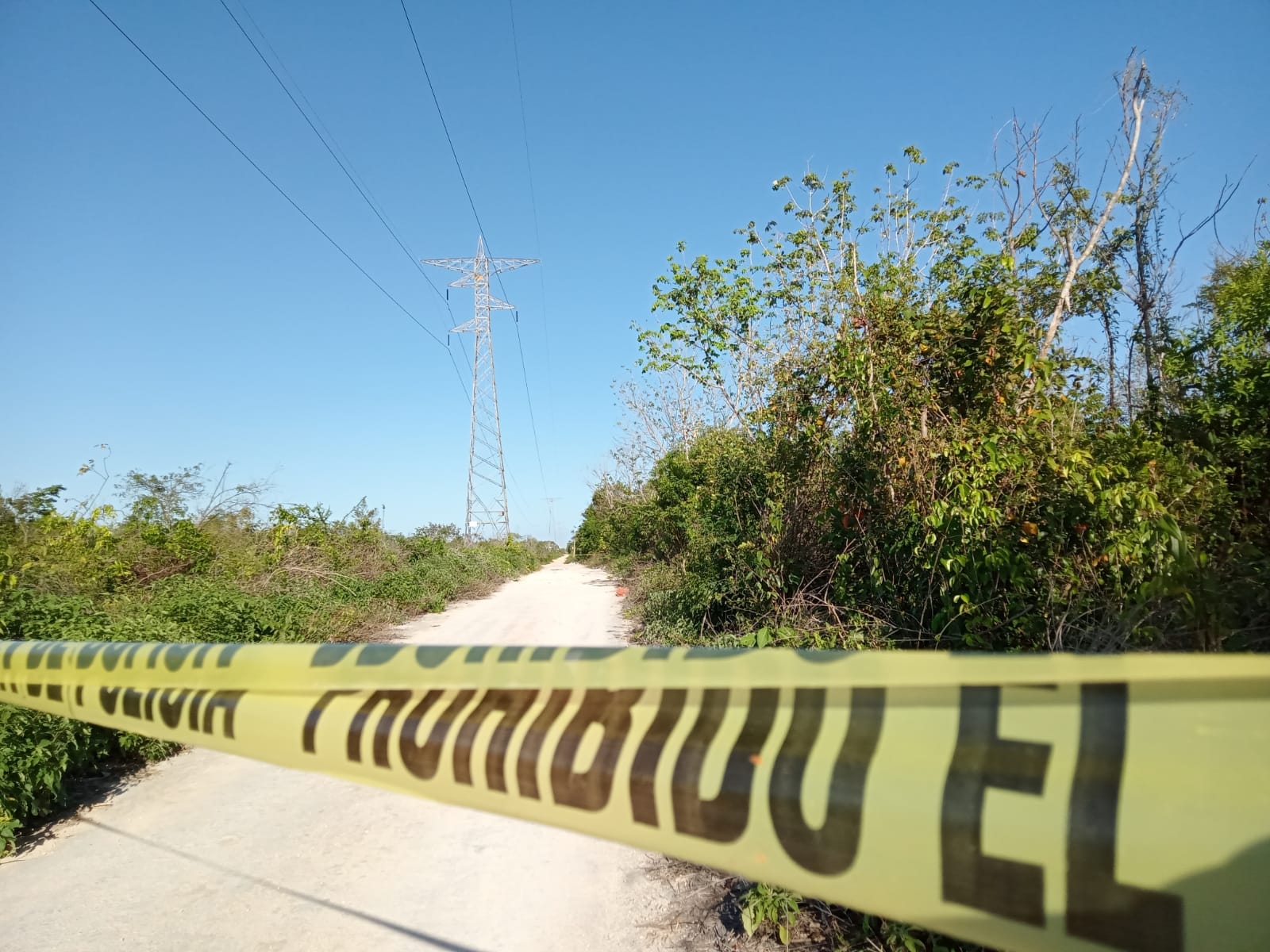 Hallan cadáver con signos de violencia tirado cerca de la carretera Cancún-Mérida