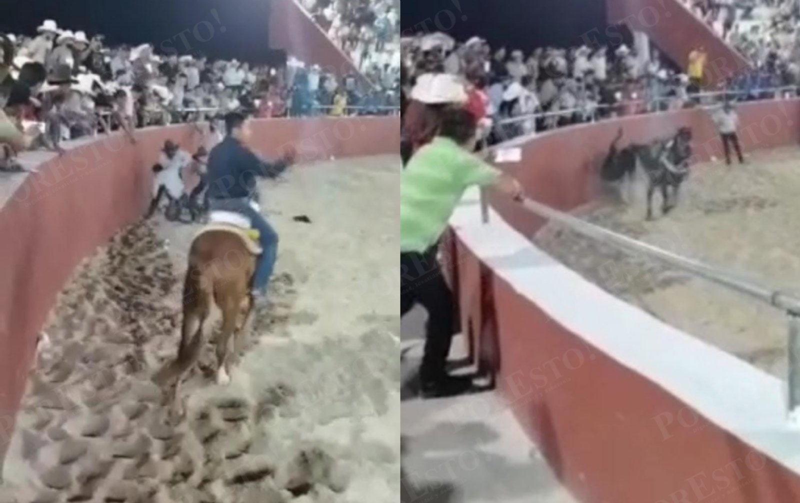 Captan momento en que un toro mata a jinete en una corrida en San Antonio Tehuitz, Yucatán