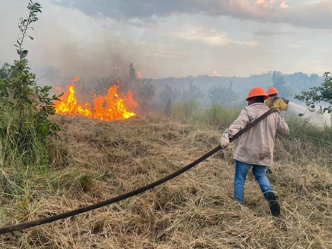 ¿Otra crisis del limón?, incendios arrasan con hectáreas del 'oro verde' en Oxkutzcab