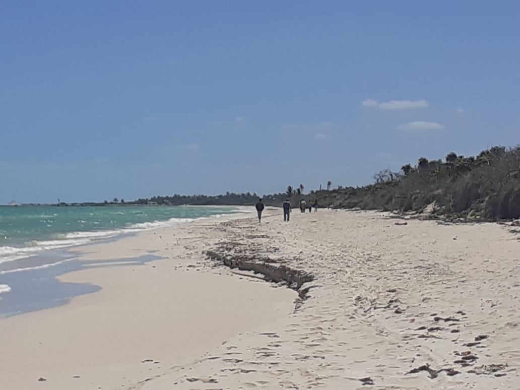 Tras 16 días de naufragio, 9 cubanos llegan nadando a El Cuyo en Yucatán