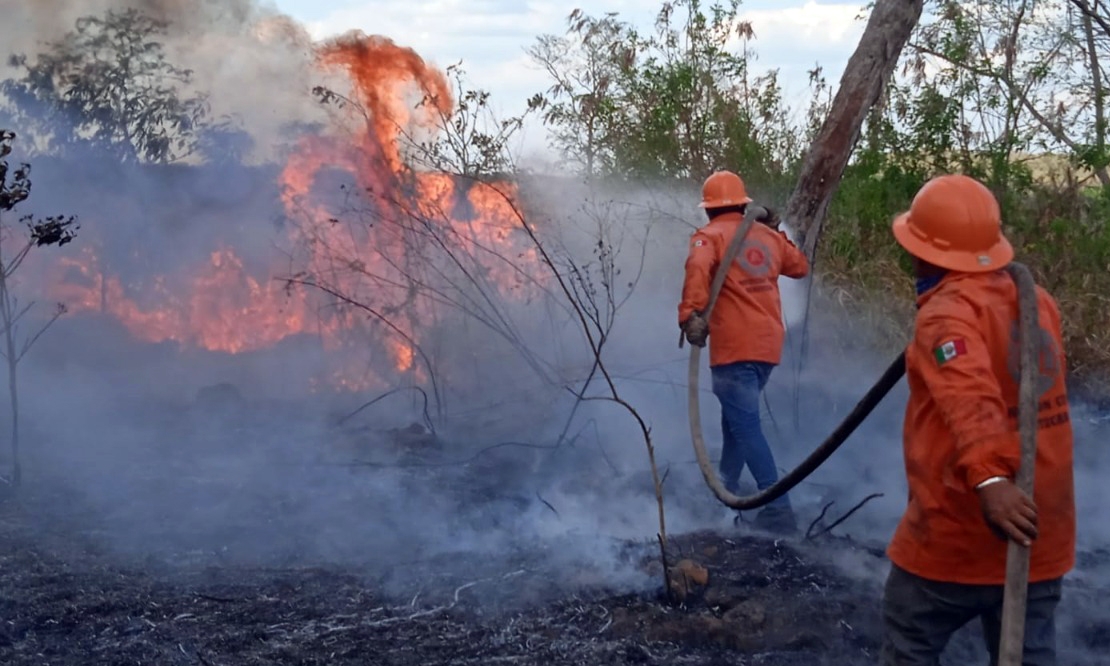 Incendio acaba con 15 hectáreas del 'oro verde' en Oxkutzcab