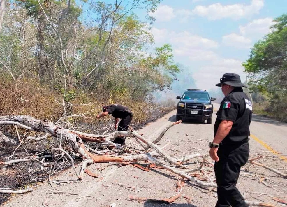 'Chispa' ocasiona incendio en 700 metros de maleza en Chacksinkin, Yucatán