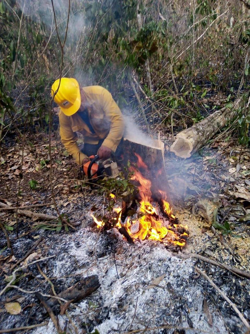 Incendio en Chen Ku, Campeche, será apagado desde el aire: Secretaría de Medio Ambiente