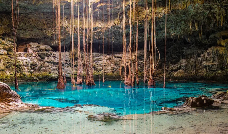 Grupo Xcaret perforó cenotes para crear ríos subterráneos al interior del parque Xibalbá