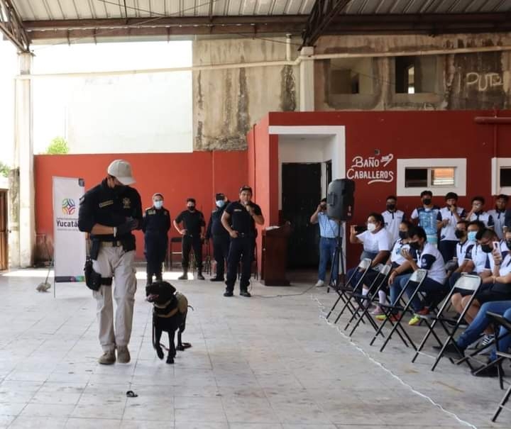 SSP concientiza sobre el consumo de drogas en los jóvenes de Baca, Yucatán