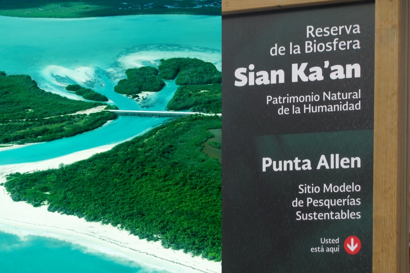 La Reserva de Sian Ka'an en Quintana Roo ocupa más de 258 mil hectáreas de superficie frente al Mar Caribe y el Gran Arrecife Maya