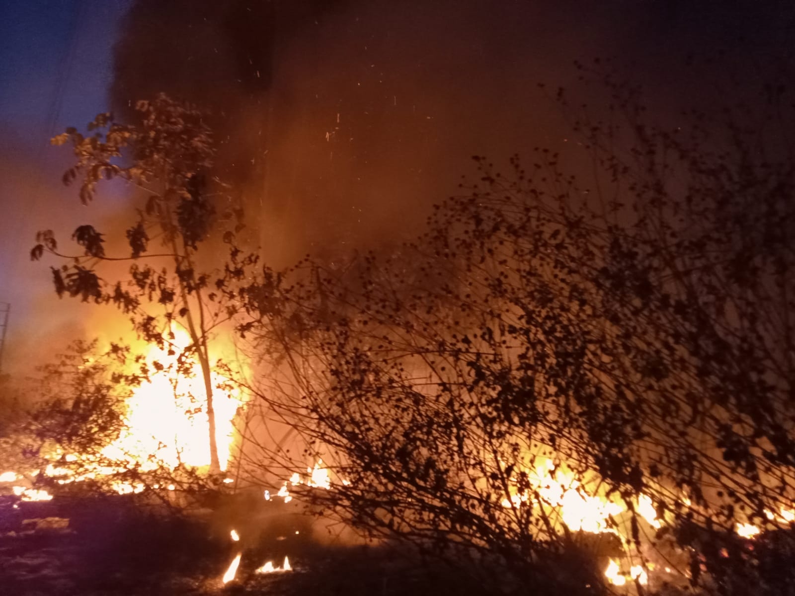 Quema de basura desata fuerte incendio en un asentamiento irregular de Cancún: VIDEO