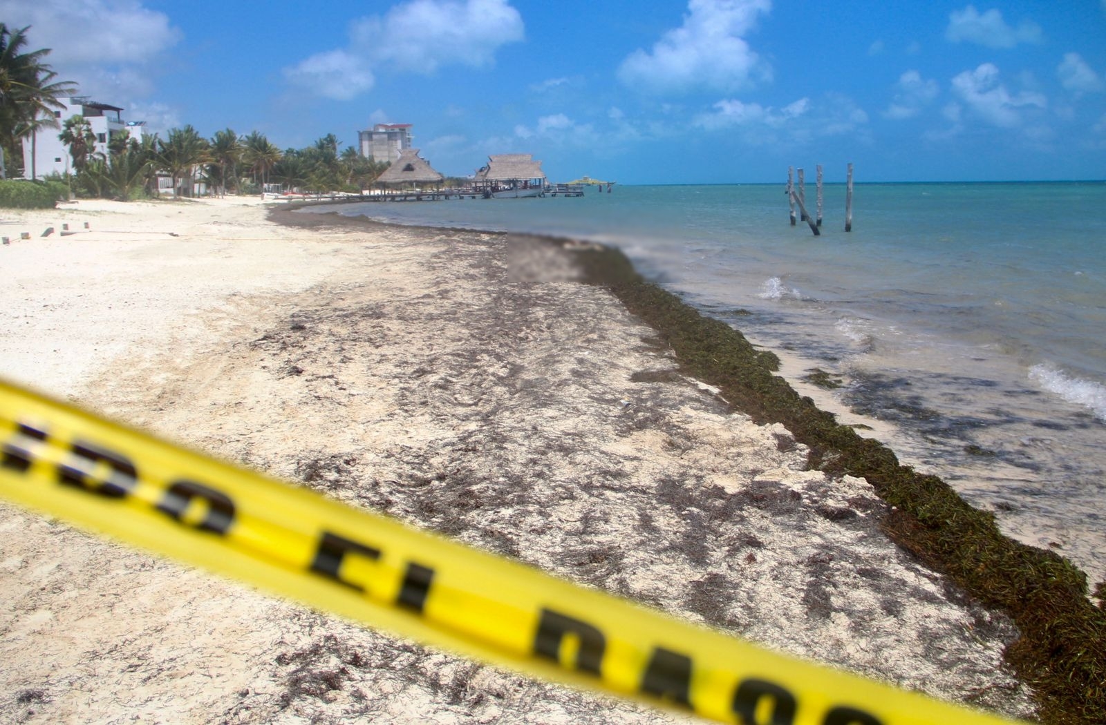 Hallan restos humanos en plena playa de Puerto Juárez en Cancún: VIDEO