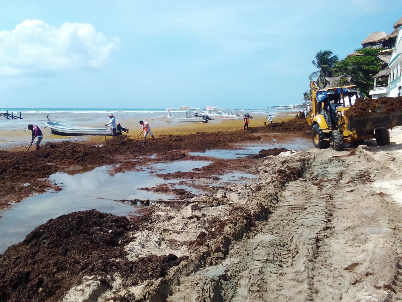 Playa del Carmen es uno de los destinos que tuvo mayor afectación por el sargazo durante la temporada del 2021