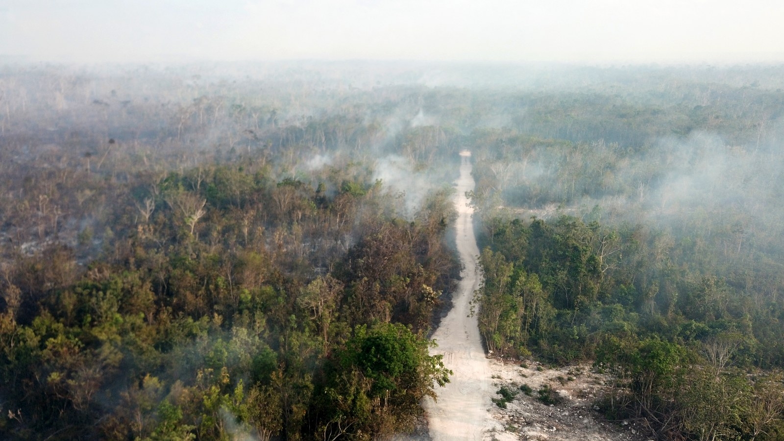 Fuego arrasador: Suman siete incendios forestales en Quintana Roo en lo que va del 2022