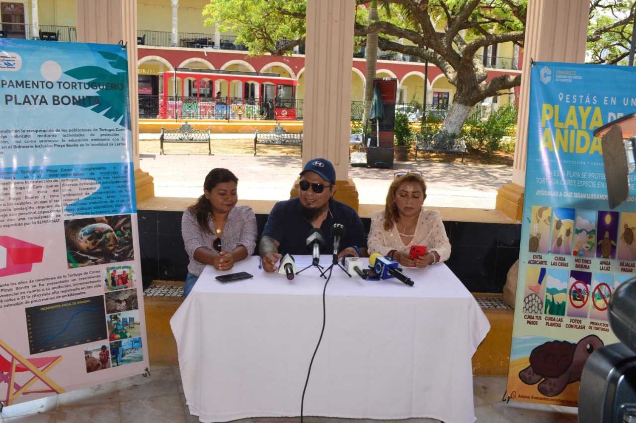 Campamentos tortugueros en Campeche realizarán actividades para la conservación de la tortuga Carey