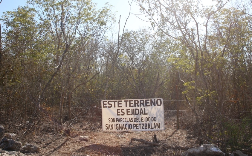 Ejidatarios denuncian invasión de loteros en tierras de San Ignacio Peztbalam, en Yucatán