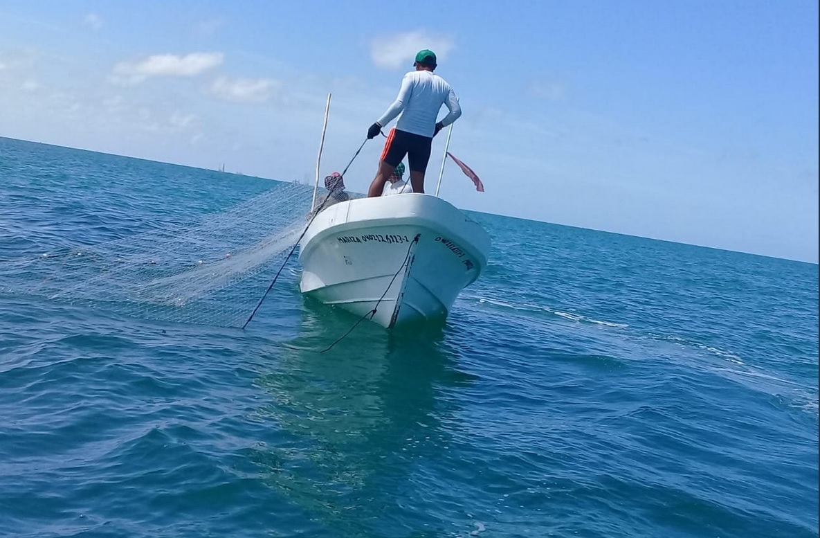 Depredación de camarón pone en jaque a pescadores de altura en Campeche