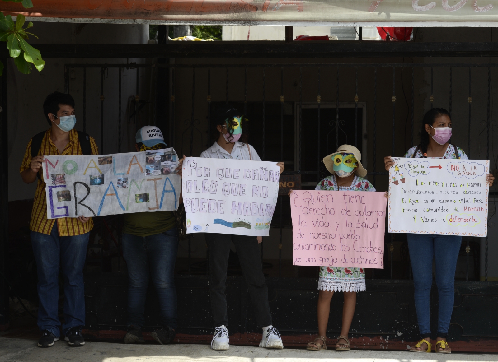 Frenan 'cochinero' en Yucatán: Granjas porcícolas de Homún y Sitilpech se mantendrán cerradas