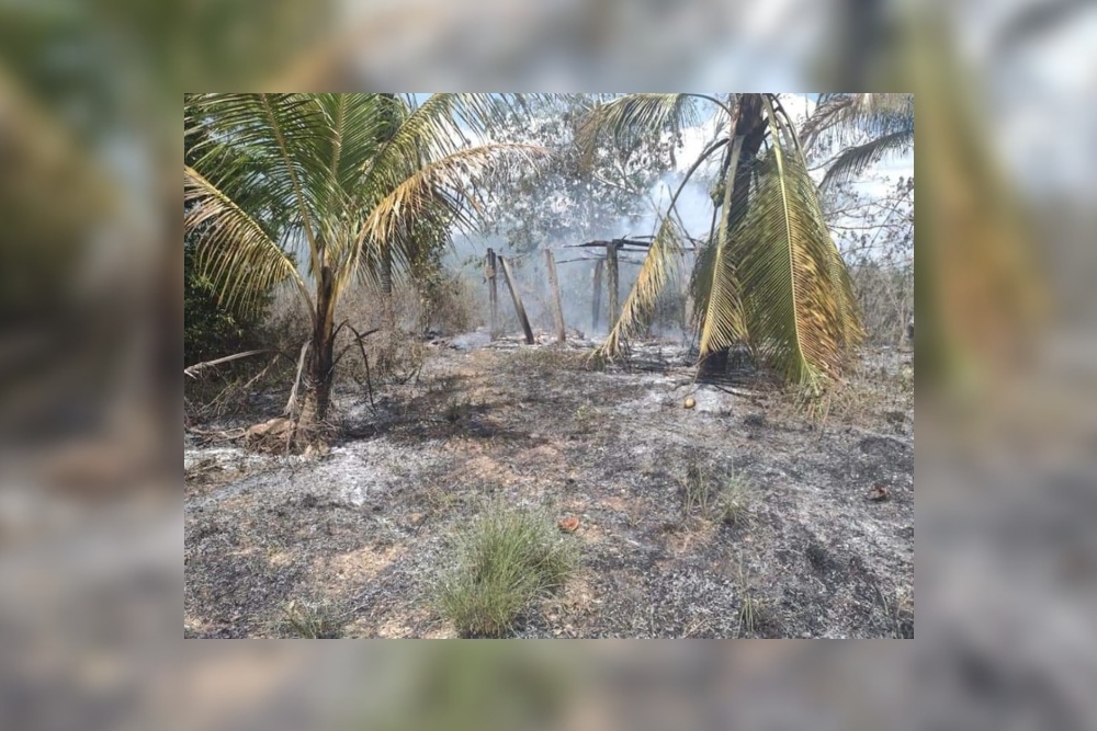 Incendio forestal consume cerca de ocho hectáreas en Kantunilkín, Quintana Roo