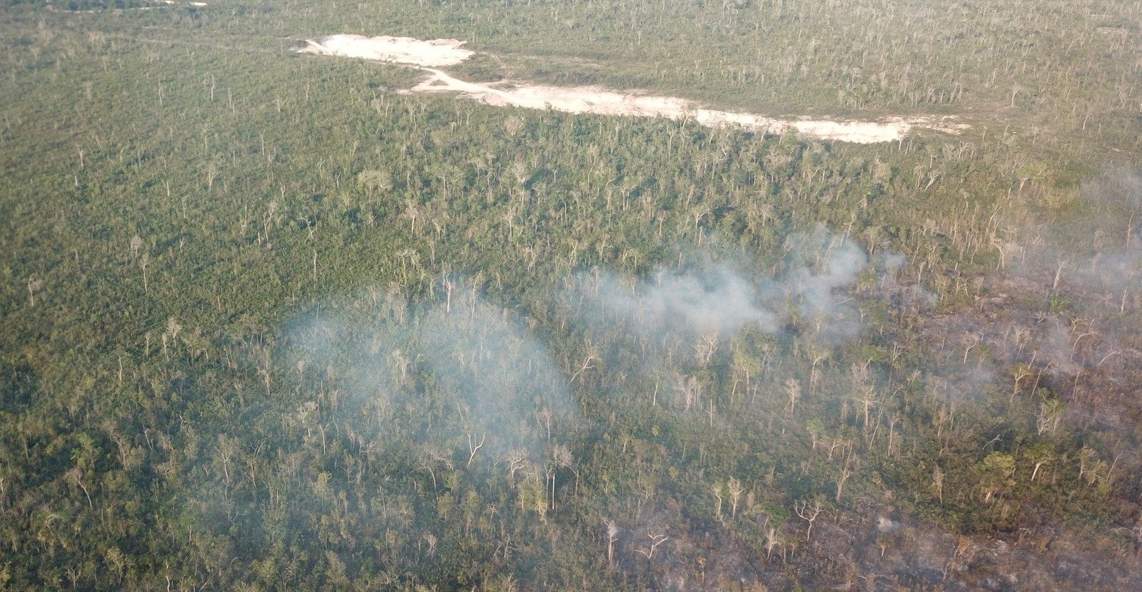 Ambientalistas acusan a cazadores furtivos de provocar incendios forestales en Mahahual