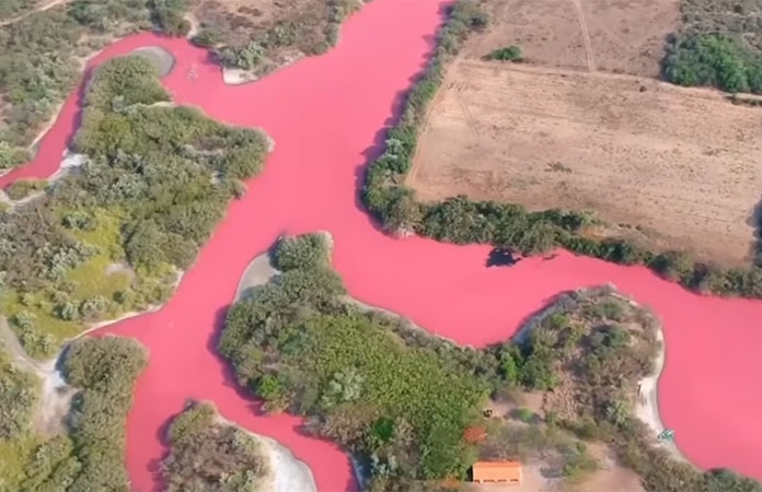 Laguna La Salina de Oaxaca se pinta de rosa por un motivo muy peculiar