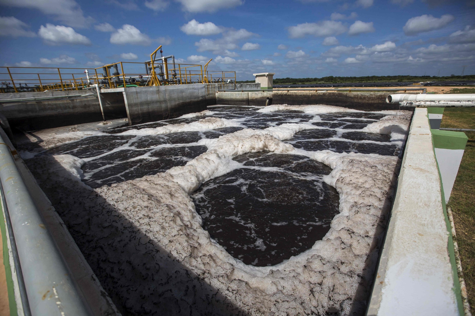 Granja porcícola de Homún ocultó información sobre contaminación del agua