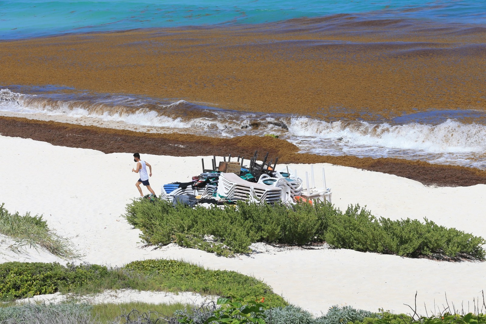 Cozumel, Mahahual y la Riviera Maya son zonas de Quintana Roo que han tenido más afectaciones por el arribo de sargazo a sus playas