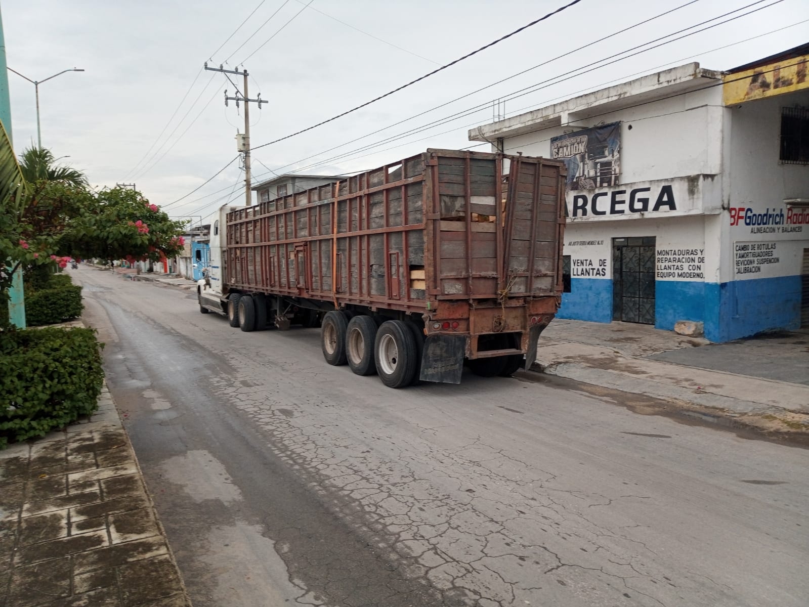 Sedena asegura camión de la mafia maderera en Escárcega